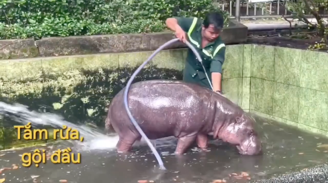 Không ngờ tới những 