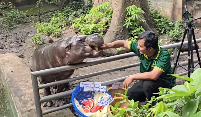 Không ngờ tới những 