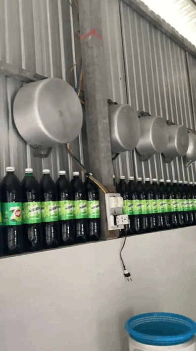 Đặc sản chỉ có ở miền Tây, cả nước 