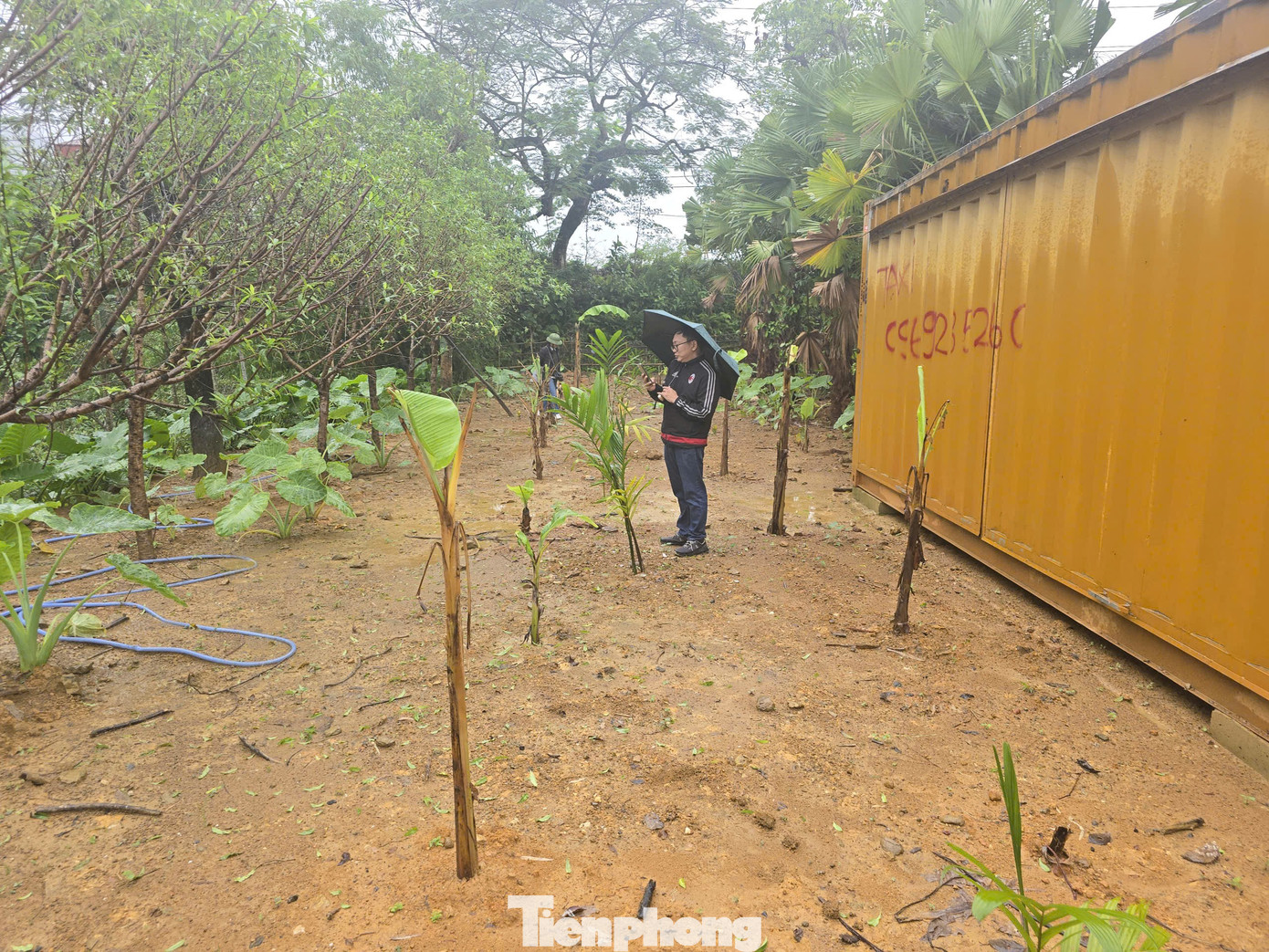 Lấn chiếm hồ Hà Nội: Các xã, phường chưa thực hiện chỉ đạo xử lý vi phạm- Ảnh 1.