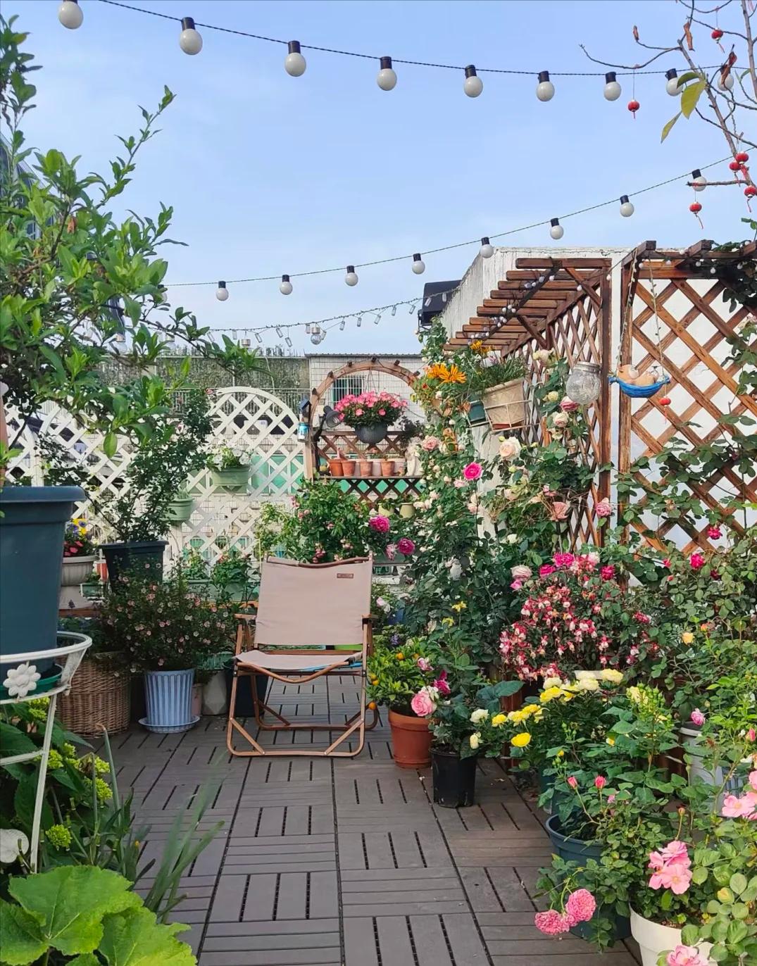 Căn nhà của Dương Vũ Anh, 53 tuổi, gây sốt: Decor sân vườn, bếp nhỏ, góc đọc sách đẹp như tạp chí- Ảnh 4. Căn nhà của Dương Vũ Anh, 53 tuổi, gây sốt: Decor sân vườn, bếp nhỏ, góc đọc sách đẹp như tạp chí- Ảnh 4.