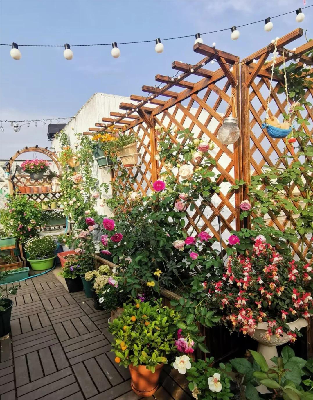 Căn nhà của Dương Vũ Anh, 53 tuổi, gây sốt: Decor sân vườn, bếp nhỏ, góc đọc sách đẹp như tạp chí- Ảnh 3. Căn nhà của Dương Vũ Anh, 53 tuổi, gây sốt: Decor sân vườn, bếp nhỏ, góc đọc sách đẹp như tạp chí- Ảnh 3.