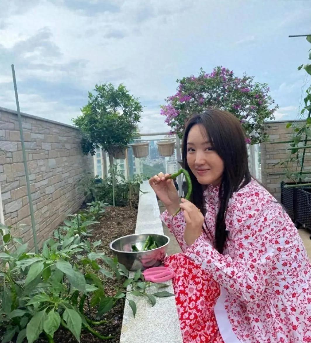 Căn nhà của Dương Vũ Anh, 53 tuổi, gây sốt: Decor sân vườn, bếp nhỏ, góc đọc sách đẹp như tạp chí- Ảnh 1. Căn nhà của Dương Vũ Anh, 53 tuổi, gây sốt: Decor sân vườn, bếp nhỏ, góc đọc sách đẹp như tạp chí- Ảnh 1.