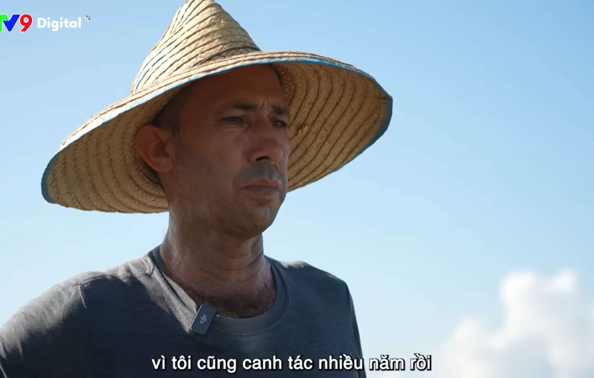 Giống lúa Việt Nam “gây bão” ở Cuba: Người dân nước bạn nói gì?- Ảnh 2. Giống lúa Việt Nam “gây bão” ở Cuba: Người dân nước bạn nói gì?- Ảnh 2.