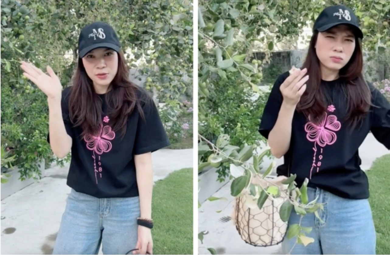 Mỹ Tâm khoe "tài sản khủng", có tiền chưa chắc mua được- Ảnh 3. Mỹ Tâm khoe "tài sản khủng", có tiền chưa chắc mua được- Ảnh 3.