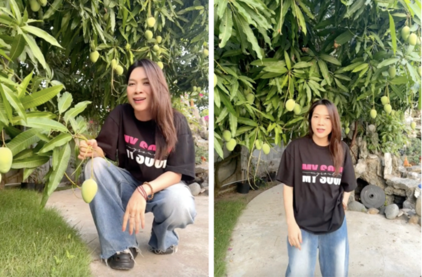 Mỹ Tâm khoe "tài sản khủng", có tiền chưa chắc mua được- Ảnh 4. Mỹ Tâm khoe "tài sản khủng", có tiền chưa chắc mua được- Ảnh 4.