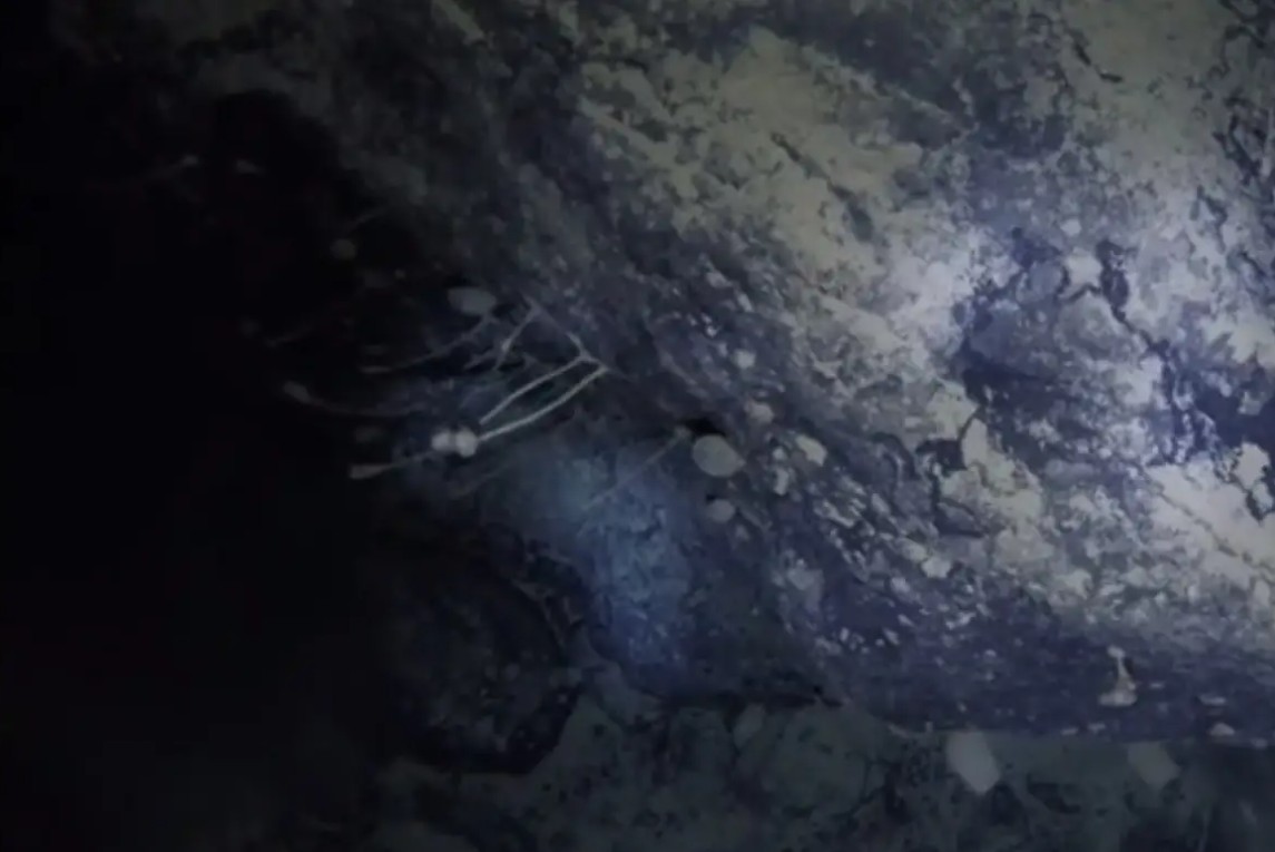 Khoan xuống lớp băng Nam Cực, giới khoa học choáng váng khi thấy dấu tích 14-30 triệu năm tuổi 'ẩn mình'- Ảnh 4.