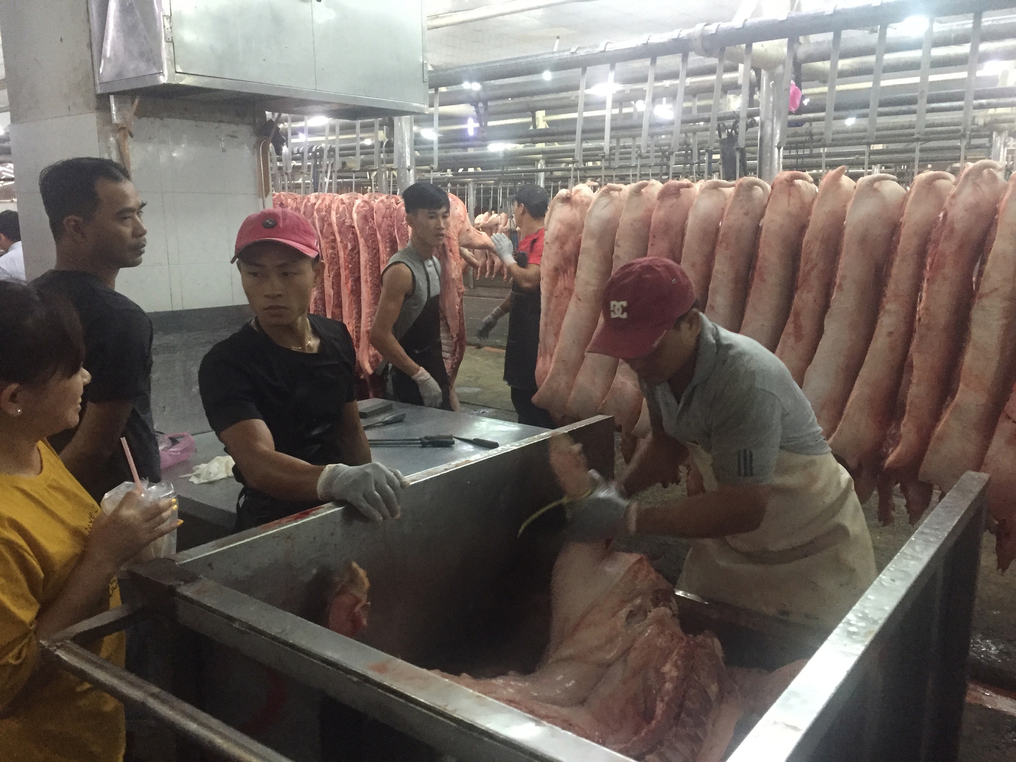 Giá heo cuối năm khó tăng đột biến- Ảnh 1. Giá heo cuối năm khó tăng đột biến- Ảnh 1.