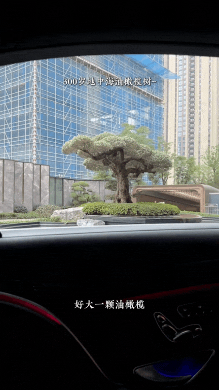 Phú bà Đào Hỷ Nhi lại sắm nhà mới khiến dân tình mắt tròn mắt dẹt: Căn hộ chung cư kiểu gì mà 700m2?!- Ảnh 2.