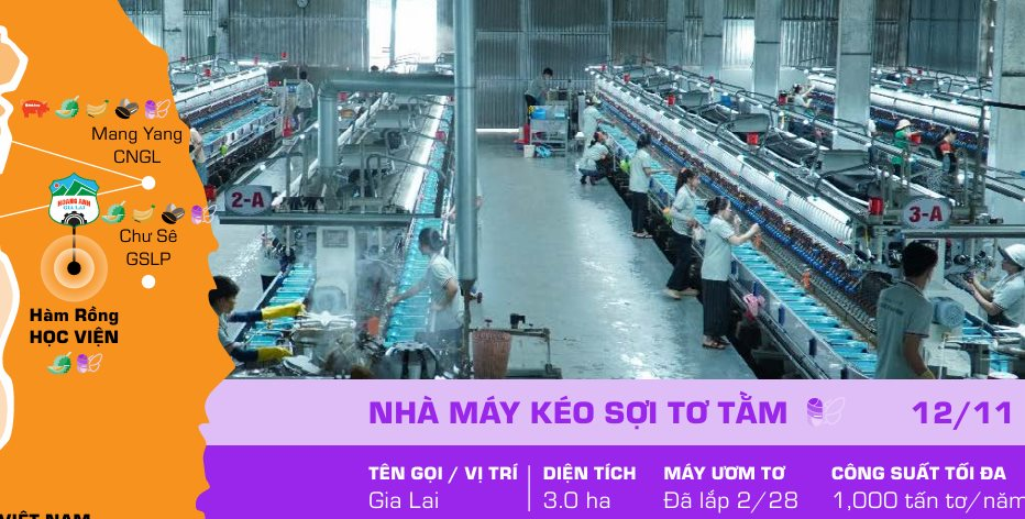 Bầu Đức làm gì trong nhà máy tơ tằm có giá trị xuất khẩu 1,6 triệu đồng/kg? - 第3张