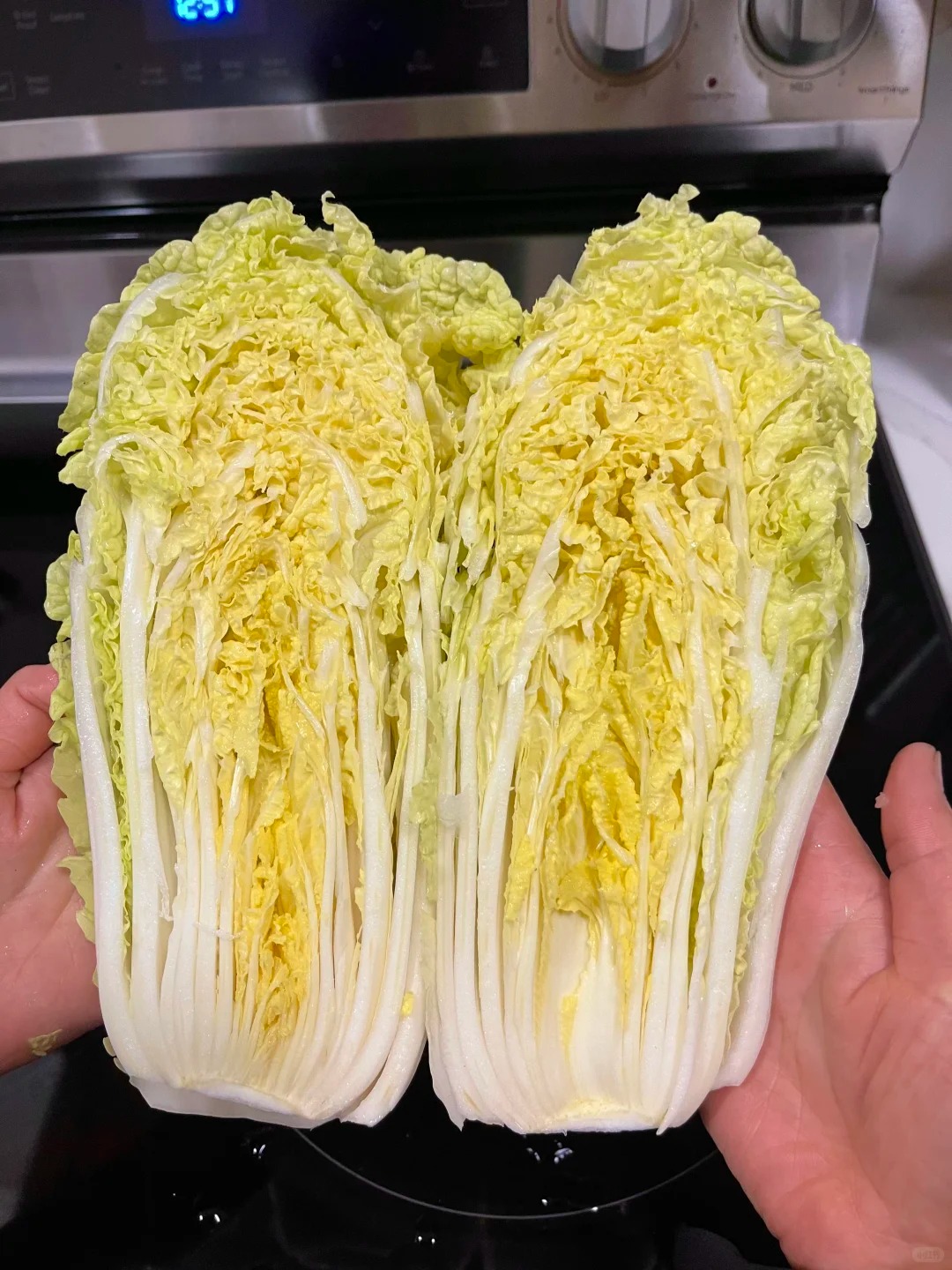 Mẹo chọn cải thảo siêu chuẩn của dân bán rau: Nhìn một chỗ ít ai để ý, là biết ngay ngon hay dở!- Ảnh 4.