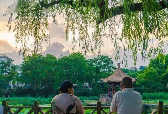 Sau khi nghỉ hưu, những người thực sự khôn ngoan sẽ làm tốt 10 điều này, không phải khoe khoang mà để sống trọn vẹn- Ảnh 2.