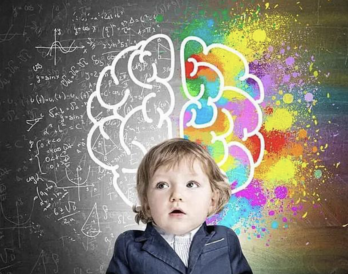 Mẹ nhóm máu này sinh con thông minh vượt trội, tài trí hơn người – Nghiên cứu của Stanford khiến thế giới xôn xao- Ảnh 1.