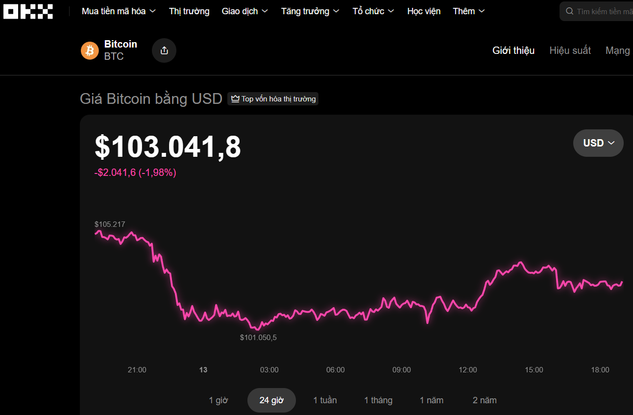Thị trường tiền số hôm nay, 13-11: Bitcoin lao dốc khi tài sản bí ẩn này tăng mạnh- Ảnh 1.