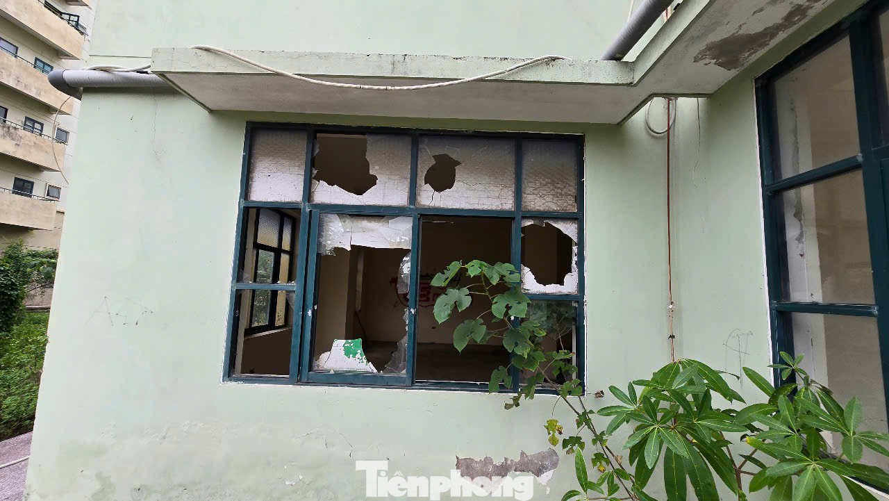 Cảnh lạnh lẽo, lãng phí khu 7 tòa nhà tái định cư bỏ hoang ở Hà Nội- Ảnh 5.