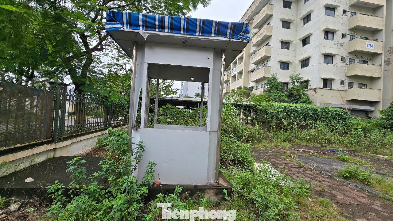 Cảnh lạnh lẽo, lãng phí khu 7 tòa nhà tái định cư bỏ hoang ở Hà Nội- Ảnh 8.