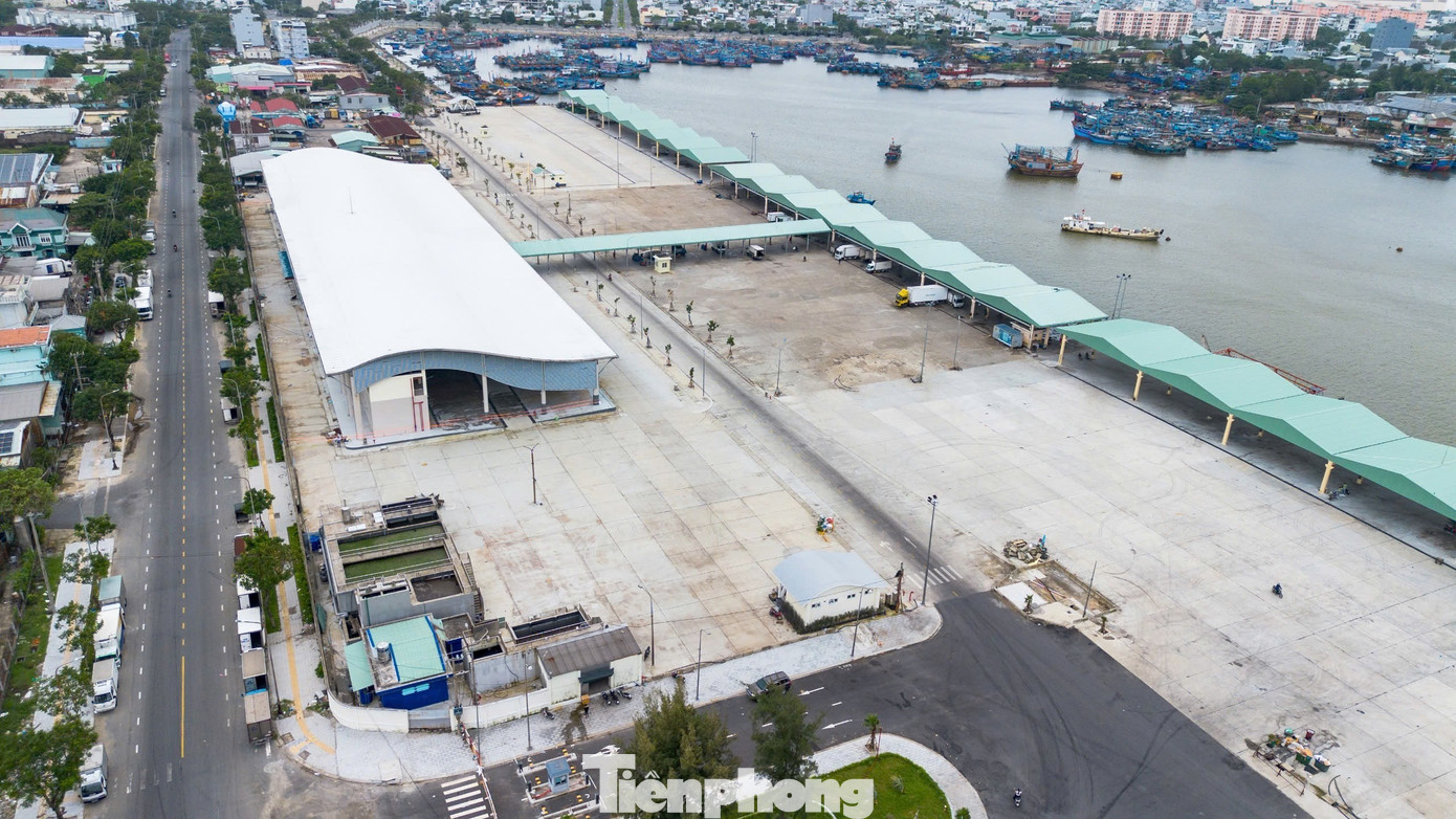 Diện mạo trung tâm nghề cá 250 tỷ ở Đà Nẵng vừa 'lên đời'- Ảnh 3.
