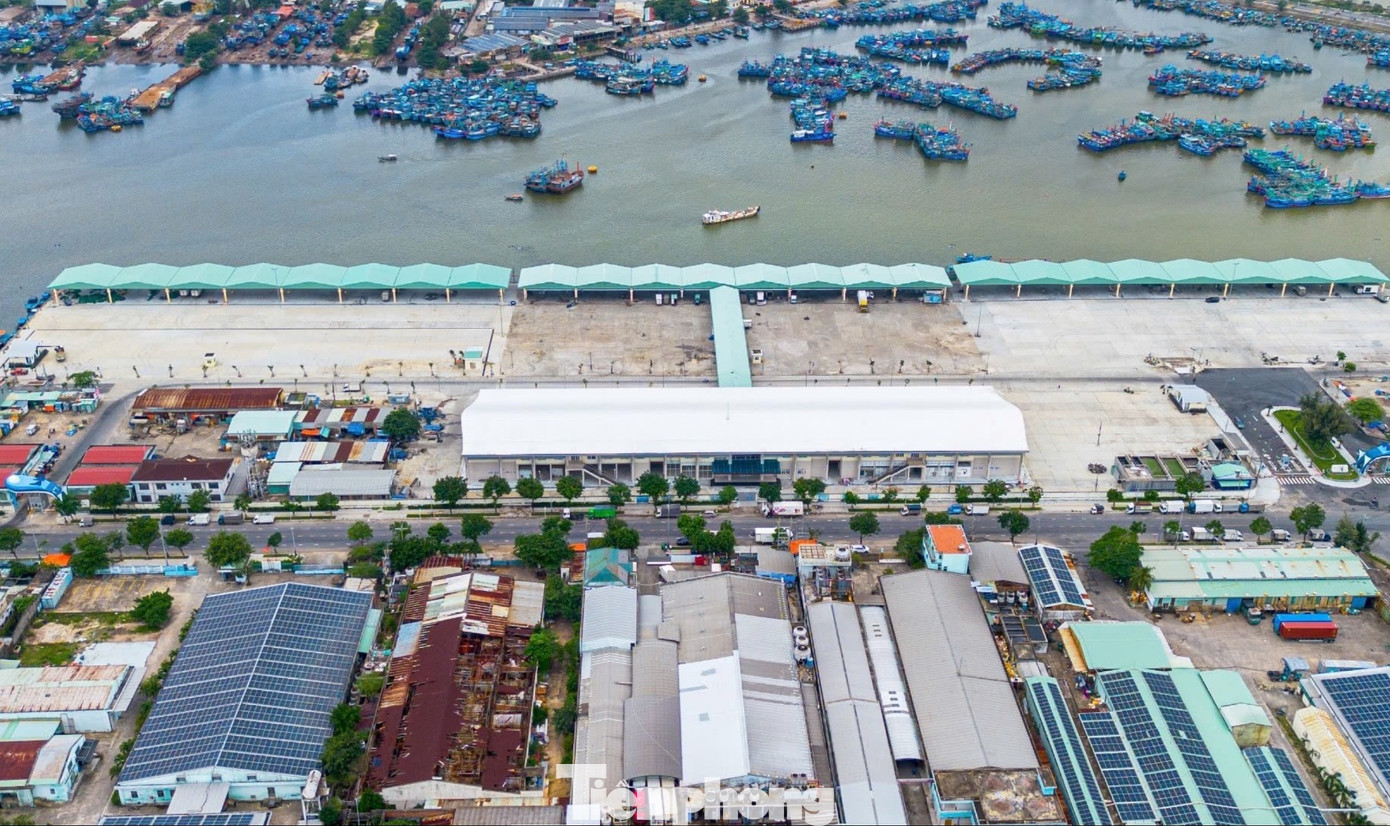 Diện mạo trung tâm nghề cá 250 tỷ ở Đà Nẵng vừa 'lên đời'- Ảnh 1.