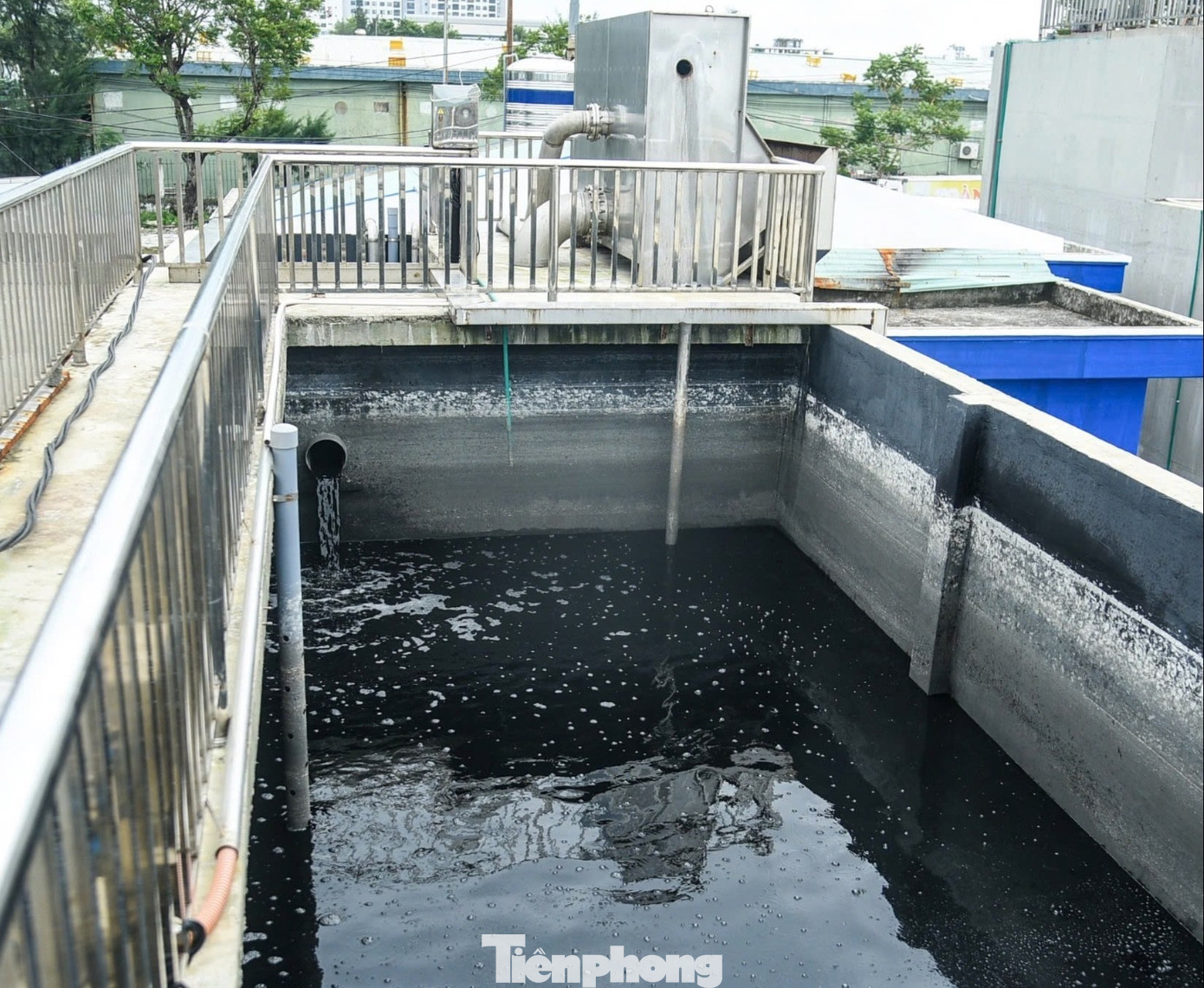 Diện mạo trung tâm nghề cá 250 tỷ ở Đà Nẵng vừa 'lên đời'- Ảnh 5.