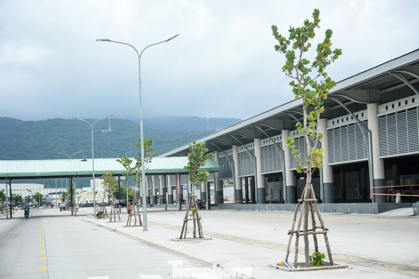 Diện mạo trung tâm nghề cá 250 tỷ ở Đà Nẵng vừa 'lên đời'- Ảnh 6.