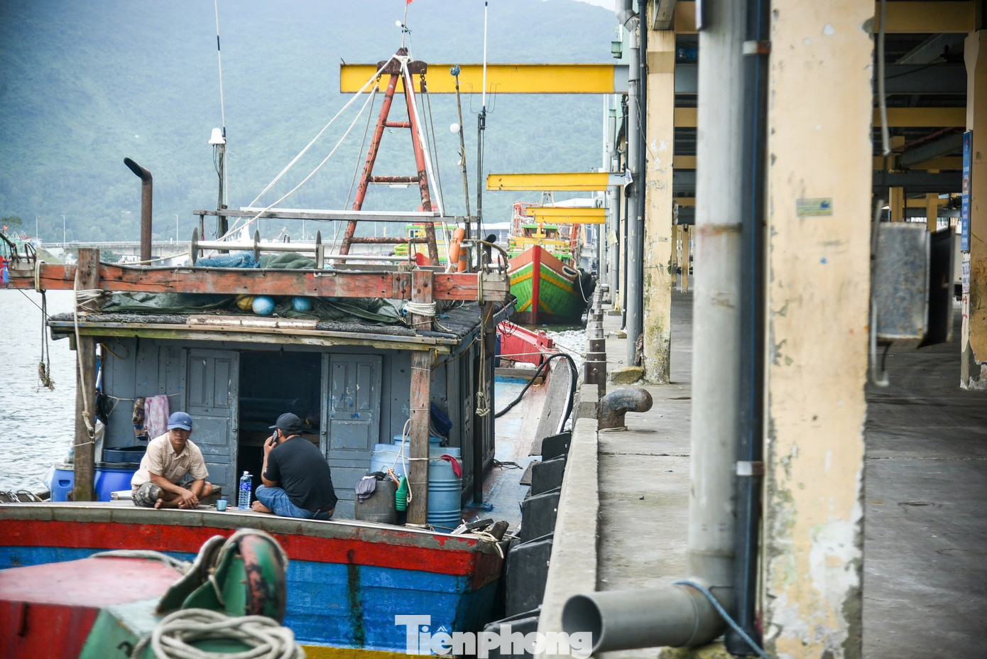 Diện mạo trung tâm nghề cá 250 tỷ ở Đà Nẵng vừa 'lên đời'- Ảnh 9.