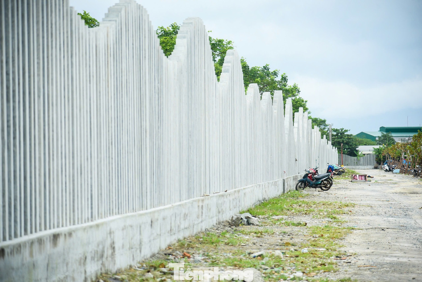 Diện mạo trung tâm nghề cá 250 tỷ ở Đà Nẵng vừa 'lên đời'- Ảnh 7.