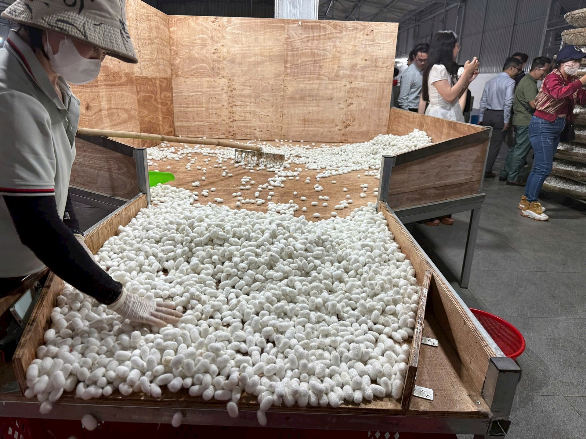 Bên trong nhà máy sợi tơ tằm xuất khẩu giá 1,6 triệu đồng/kg của Bầu Đức có gì?- Ảnh 1.