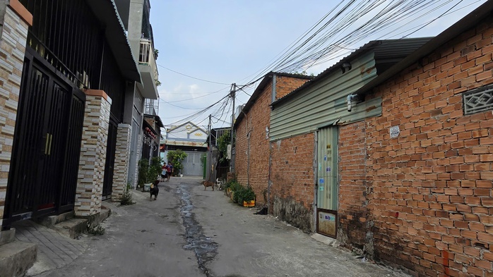 Khu dân cư tự phát hình thành trên đất lấn chiếm- Ảnh 1. Khu dân cư tự phát hình thành trên đất lấn chiếm- Ảnh 1.