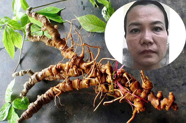 Bắt tạm giam Trương Thị An- Ảnh 1.