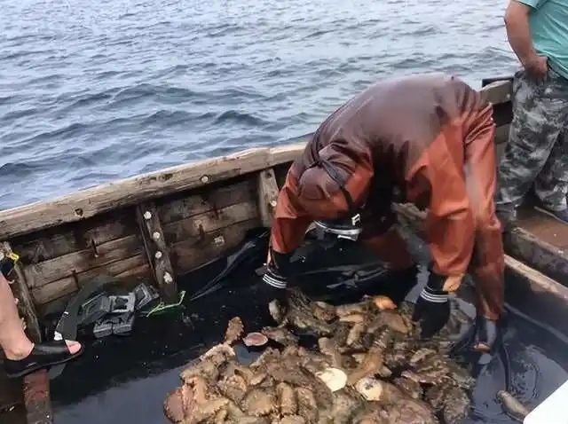 Bị chê cười vì ném 1,58 triệu tấn đá xuống biển trong 5 năm liên tiếp, người đàn ông kiếm được 185 tỷ đồng/năm nhờ “ngân hàng” dưới đại dương- Ảnh 3.