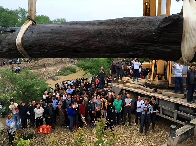 Người đàn ông đào được khúc gỗ đen sì tỏa ra mùi thơm, dài hơn 30m, nặng 60.000 kg: Cảnh sát lập tức phong tỏa hiện trường- Ảnh 2.