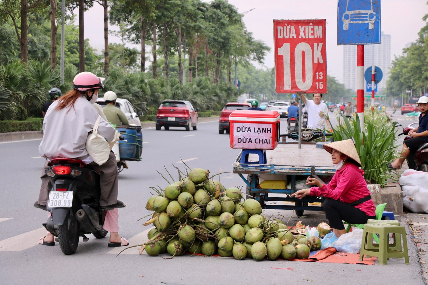 Dừa xiêm 7.000 đồng bán tràn ngập Hà Nội- Ảnh 3.
