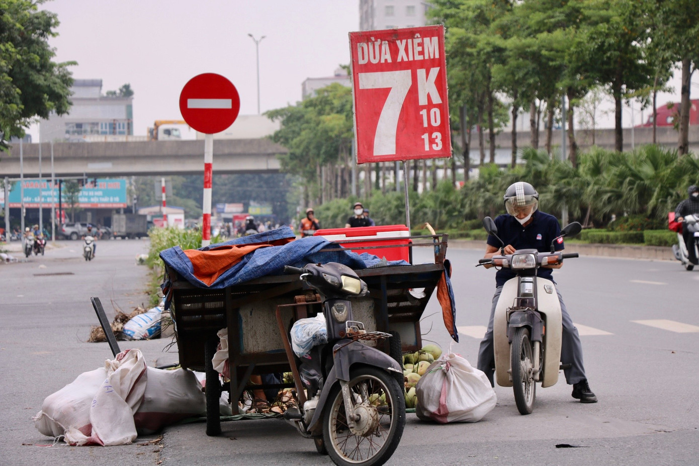 Dừa xiêm 7.000 đồng bán tràn ngập Hà Nội- Ảnh 1.