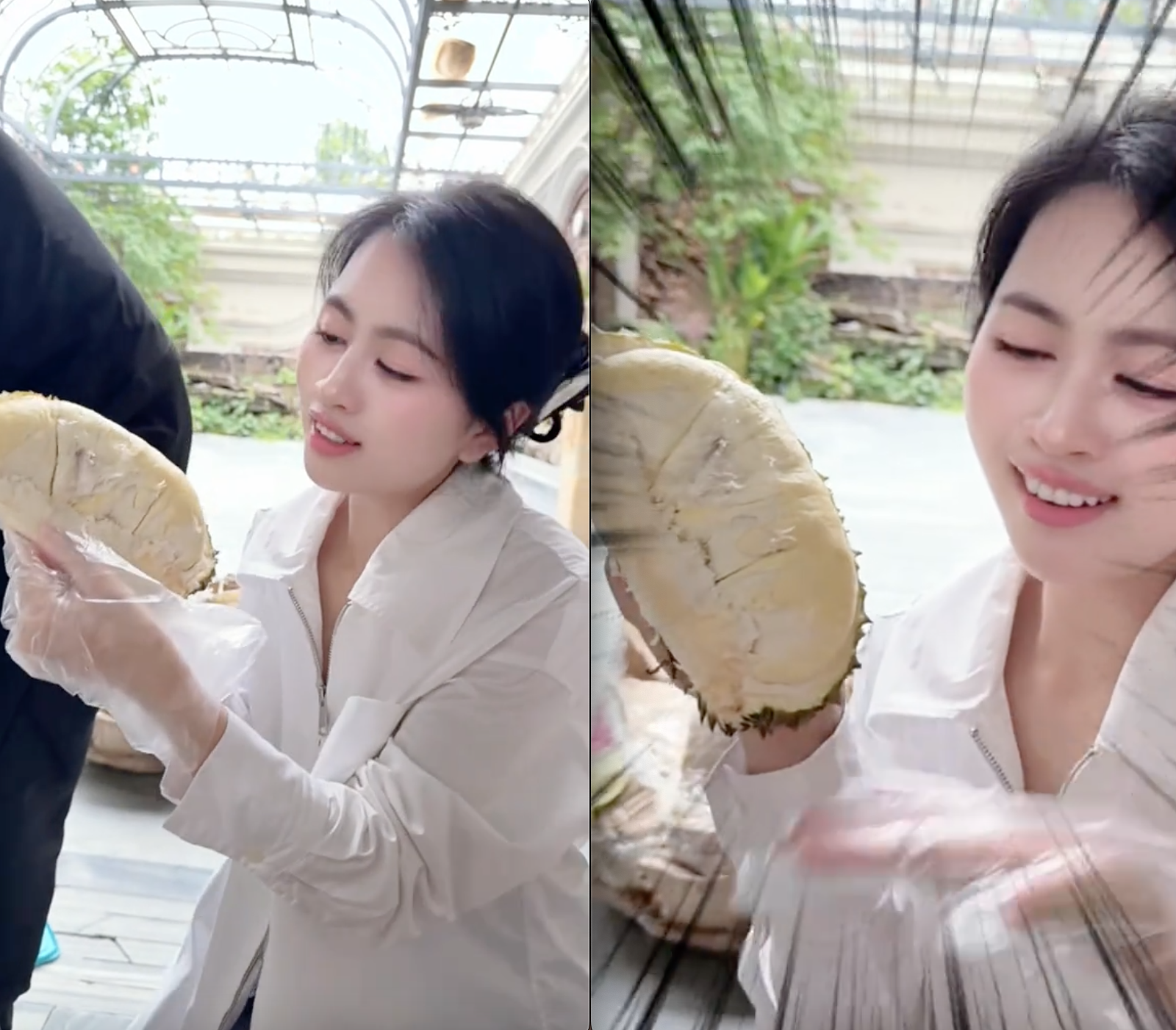 Số phận vườn sầu riêng nhà Mailisa- Ảnh 1.