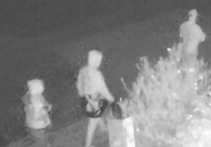 Bị ép hít đất 500 cái để nhận lương, nhân viên sát hại CEO- Ảnh 2.