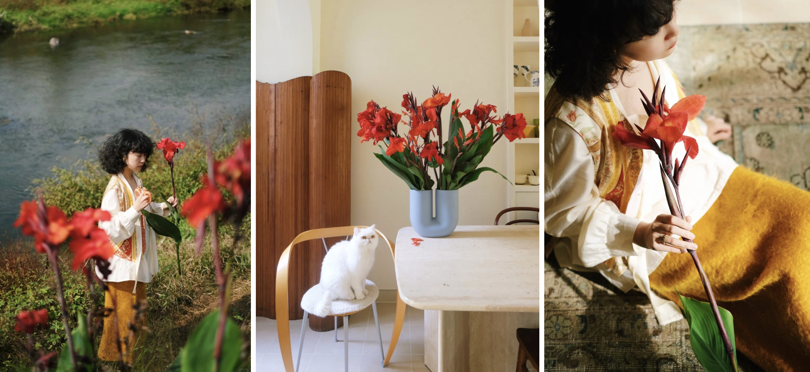 Hoa dong riềng bỗng hot: Loài hoa tưởng bị "ra rìa" nay gây sốt vì đẹp sang bất ngờ, nở rực ba mùa trong năm, trồng phát lên luôn- Ảnh 3.