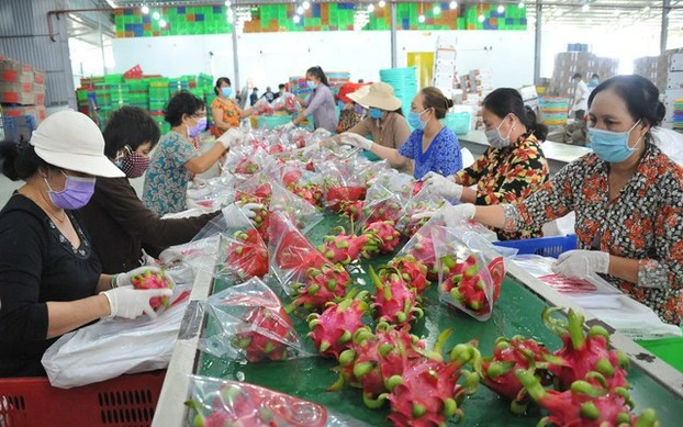 Quy định mới về truy xuất sản phẩm của Trung Quốc tác động gì tới hàng Việt?- Ảnh 2.