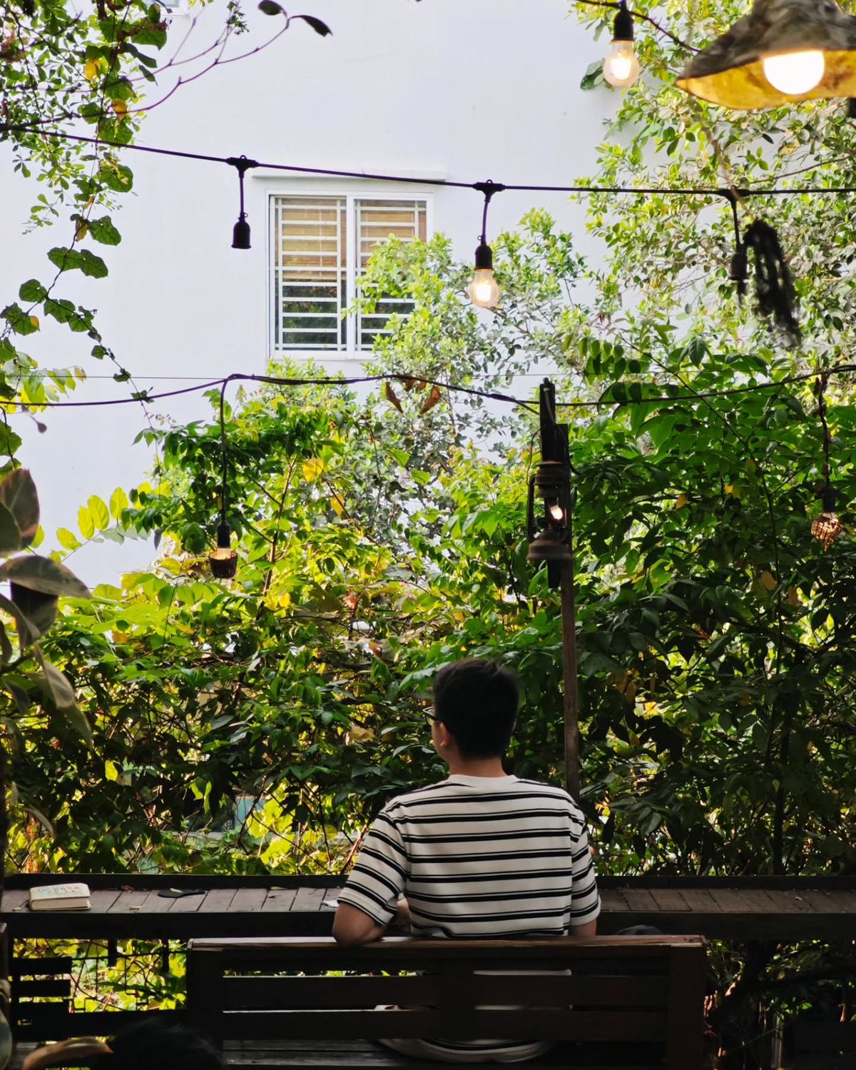 Ở thành phố mệt quá thì về quê- Ảnh 4. Ở thành phố mệt quá thì về quê- Ảnh 4.