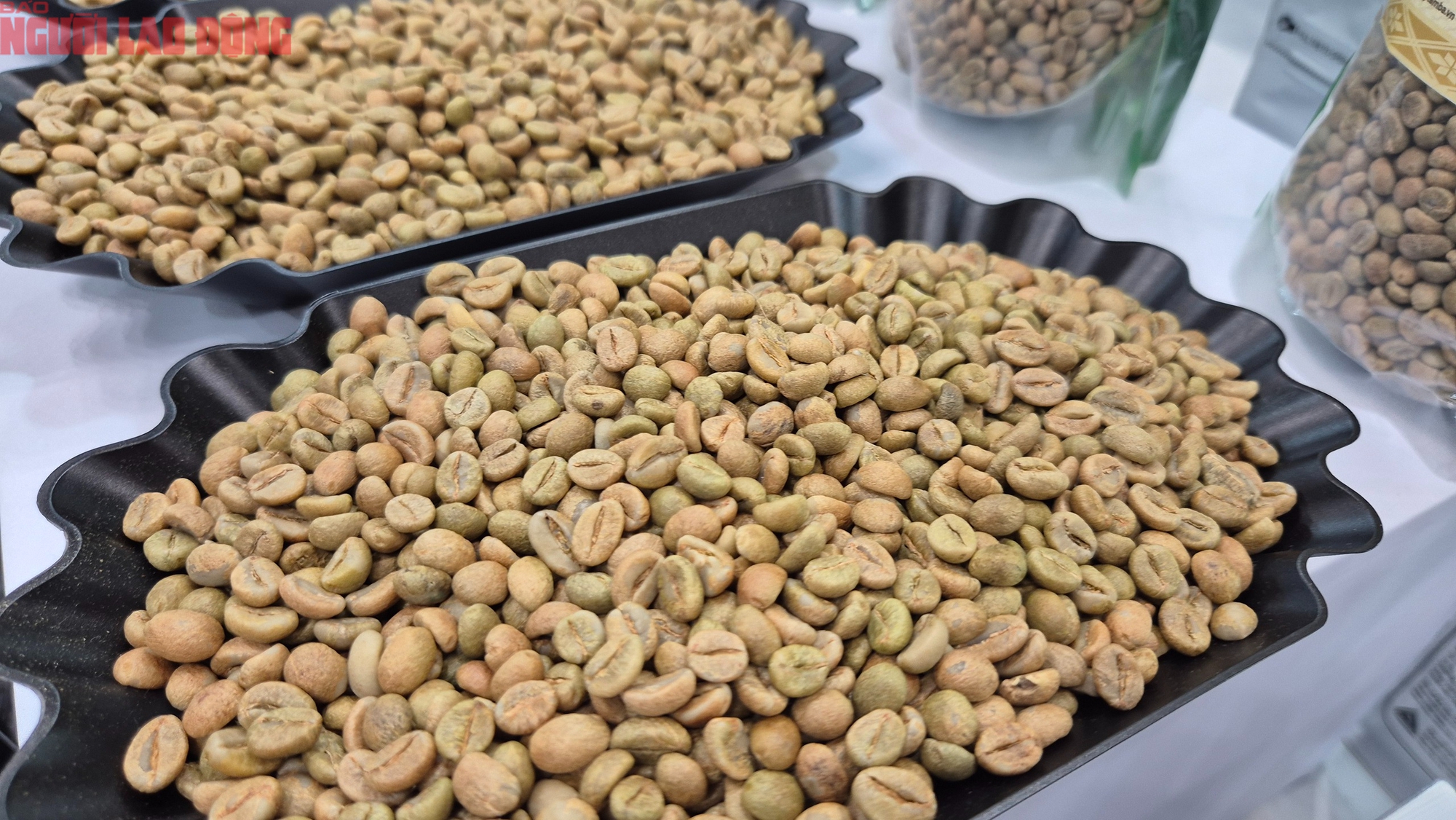 Giá cà phê hôm nay 15 -11: Bốc hơi theo thuế Mỹ- Ảnh 1.