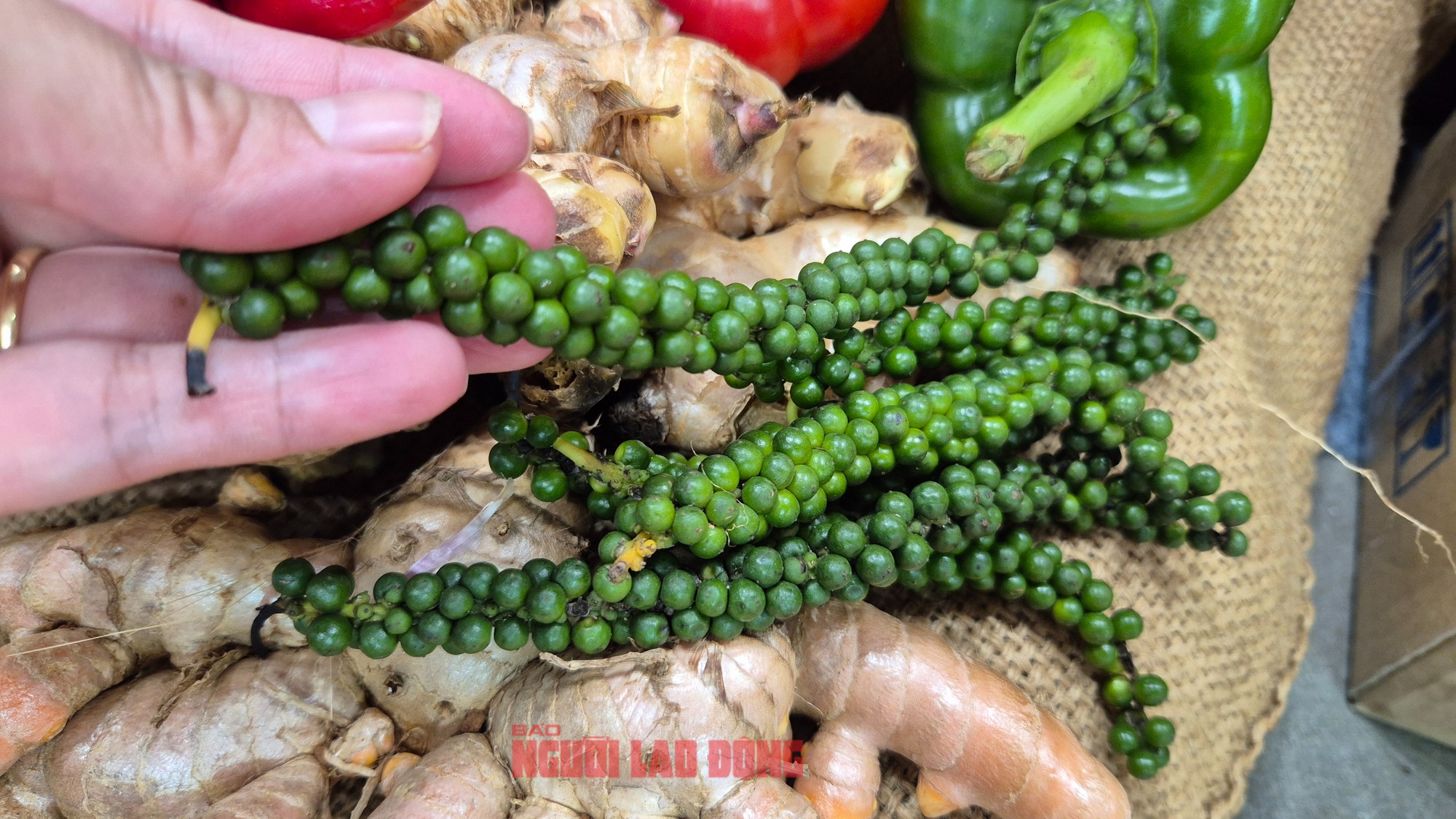 Mỹ chính thức miễn thuế đối ứng với cà phê, tiêu- Ảnh 1. Mỹ chính thức miễn thuế đối ứng với cà phê, tiêu- Ảnh 1.