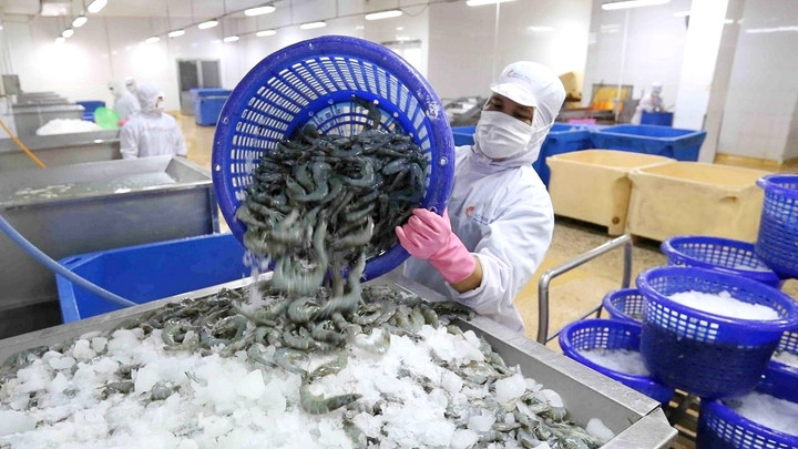 Không được nghỉ cuối tuần, doanh nghiệp thuỷ sản chật vật tuyển lao động- Ảnh 2.