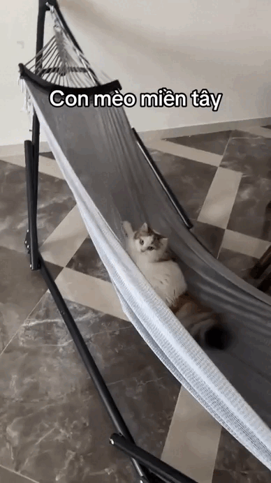 Đặc sản chỉ có ở miền Tây, cả nước không hiểu vì sao lại Đặc sản chỉ có ở miền Tây, cả nước không hiểu vì sao lại