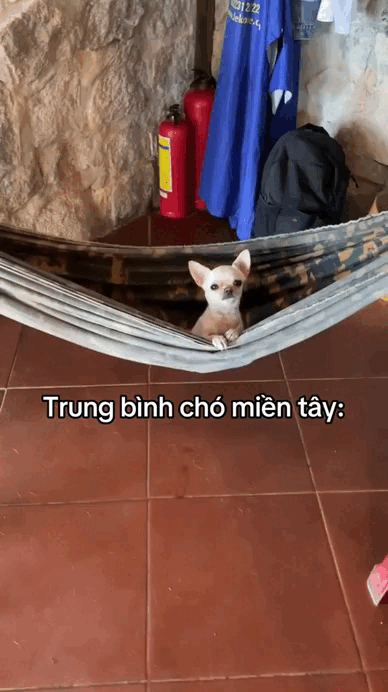 Đặc sản chỉ có ở miền Tây, cả nước không hiểu vì sao lại Đặc sản chỉ có ở miền Tây, cả nước không hiểu vì sao lại