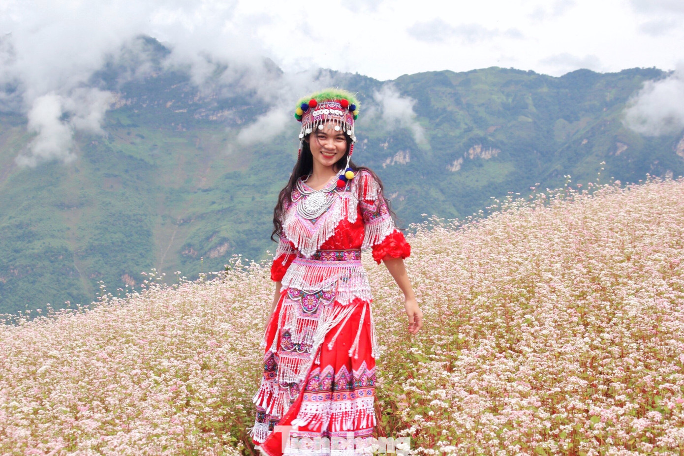 Đường kẹt cứng, khách sạn 'cháy' phòng mùa hoa tam giác mạch- Ảnh 11.