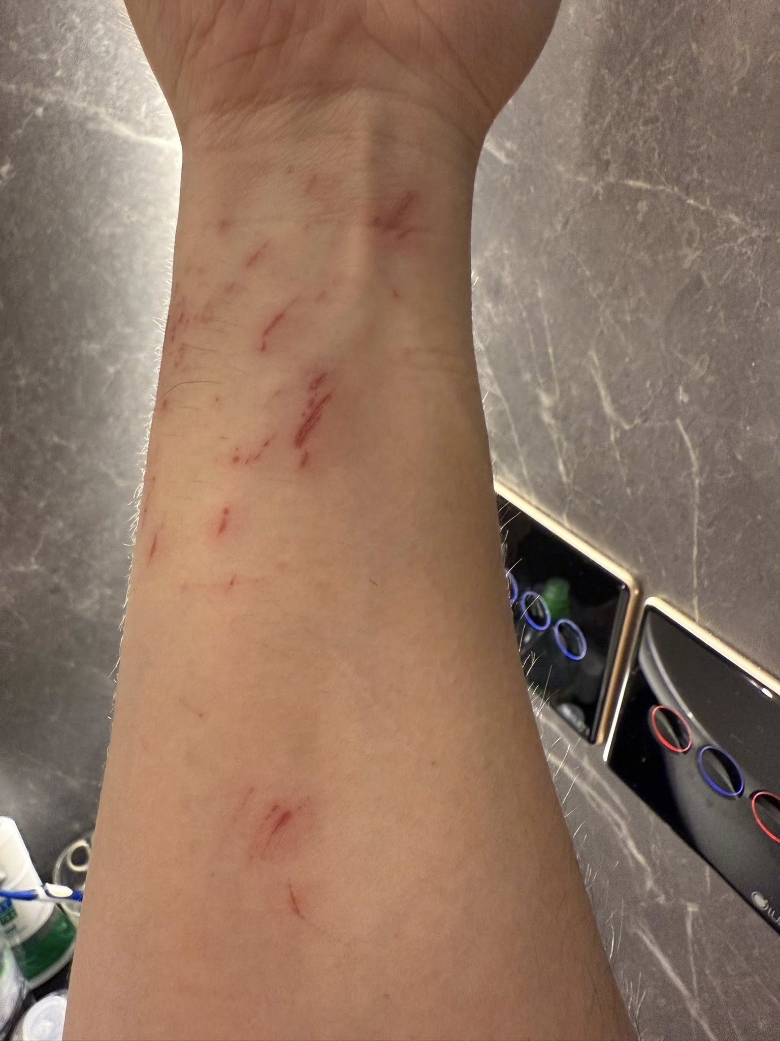 Trấn Thành tiếp tục phải trả giá- Ảnh 2. Trấn Thành tiếp tục phải trả giá- Ảnh 2.