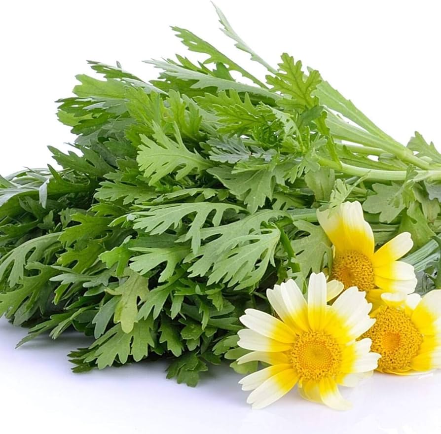 Loại rau người Trung Quốc ví là "rau Hoàng đế": Có đầy ở Việt Nam nhưng nhiều người chê không ăn- Ảnh 1. Loại rau người Trung Quốc ví là "rau Hoàng đế": Có đầy ở Việt Nam nhưng nhiều người chê không ăn- Ảnh 1.