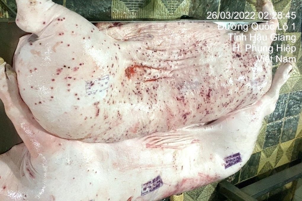 Doanh thu ở Việt Nam của C.P. Foods giảm 17% khiến doanh thu toàn cầu giảm dù thị trường Trung Quốc bật tăng 36%- Ảnh 2.