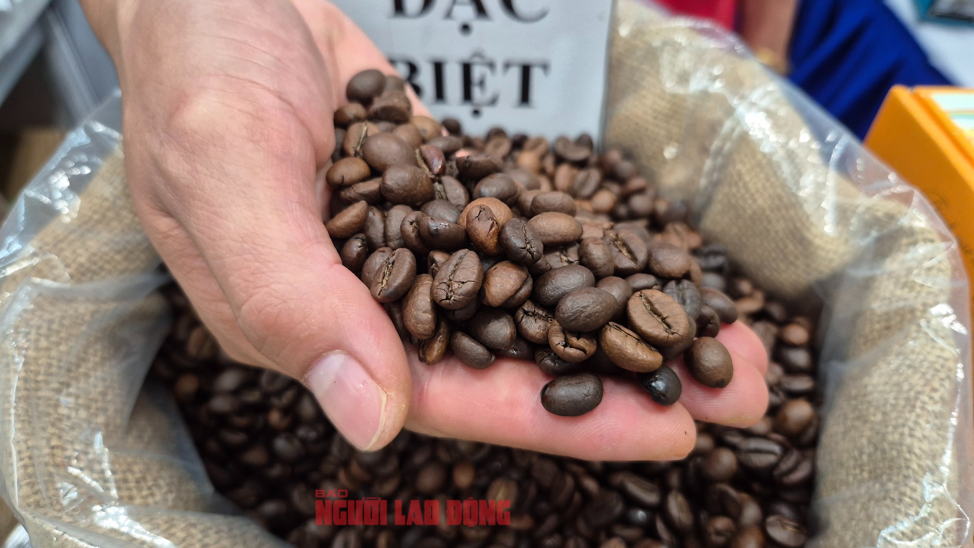 Giá cà phê hôm nay 16-11: Tuần buồn của giá cà phê- Ảnh 1. Giá cà phê hôm nay 16-11: Tuần buồn của giá cà phê- Ảnh 1.