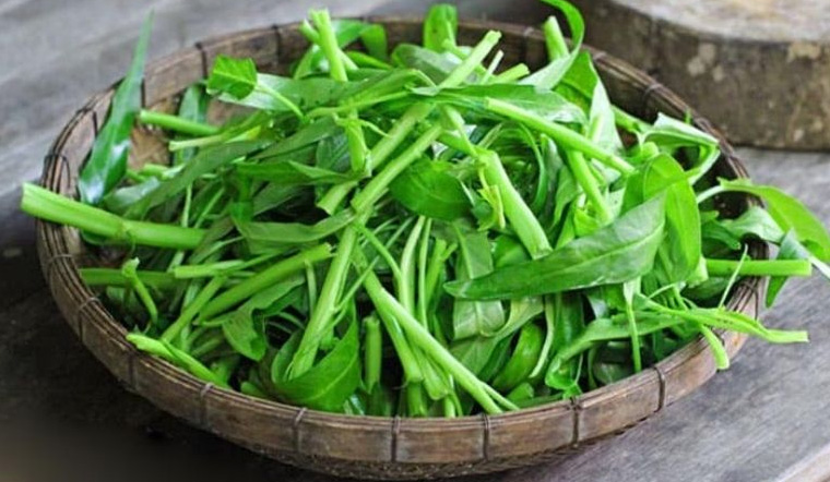 Món Việt lên đài Hàn Quốc, quen thuộc trong mâm cơm, du khách nhận xét: Món Việt lên đài Hàn Quốc, quen thuộc trong mâm cơm, du khách nhận xét: