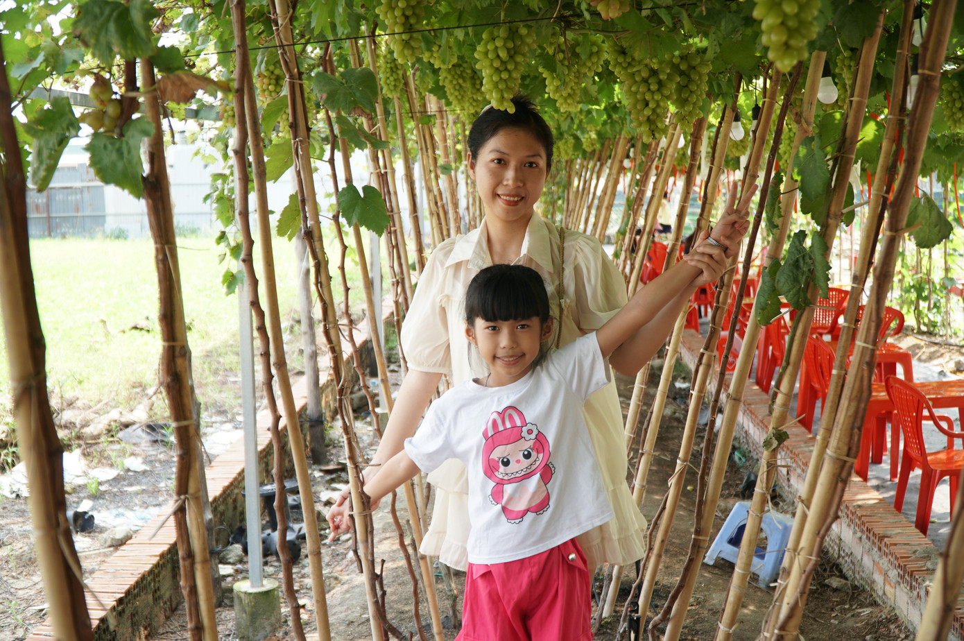 Uống cà phê xem cừu giữa vườn nho trĩu quả ở TPHCM- Ảnh 5.